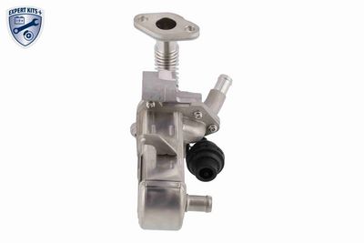 MODUL-EGR ACKOJA A38630004 6