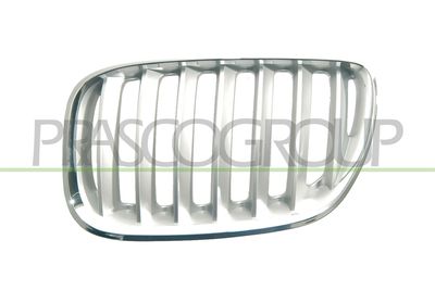 решетка пред радиатора PRASCO BM8202034