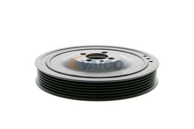 FULIE CUREA ARBORE COTIT VAICO V401481 38