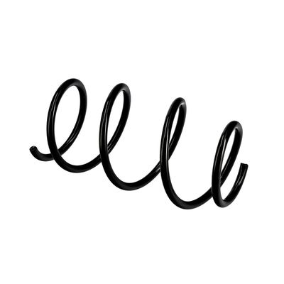 ARC SPIRAL EIBACH R10129 21