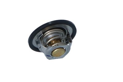 TERMOSTAT LICHID RACIRE NRF 725150 24