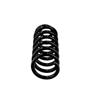 ARC SPIRAL EIBACH R10602 13