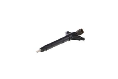 INJECTOR REMANTE 002003002096R 6