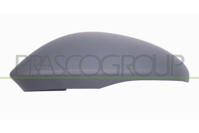 ACOPERIRE OGLINDA EXTERIOARA