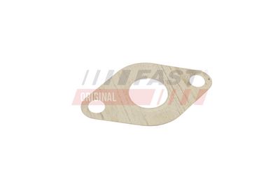 SET GARNITURA SISTEM EGR FAST FT50609 1