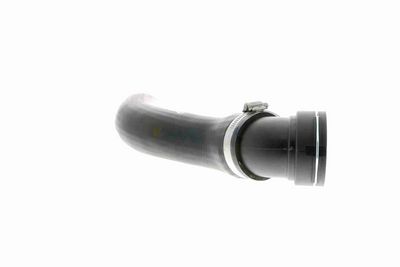 FURTUN EAR SUPRAALIMENTARE VAICO V201620 6