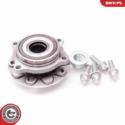 SET RULMENT ROATA ESEN SKV 29SKV143 1