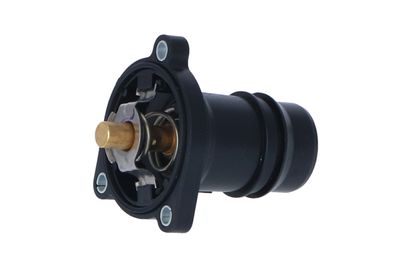 TERMOSTAT LICHID RACIRE NRF 725024 13