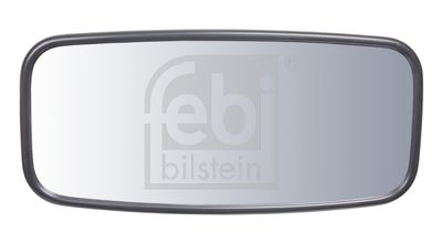 FEBI BILSTEIN Außenspiegel, Fahrerhaus