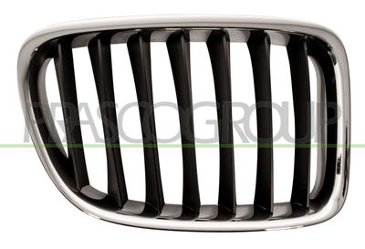 PRASCO BM7022023 Решетка радиатора  для BMW X1 (Бмв X1)