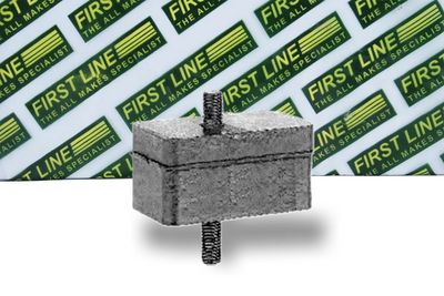 окачване, двигател FIRST LINE FEM3450