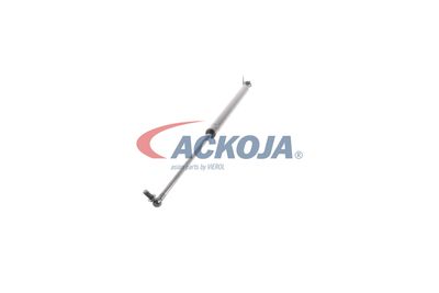 FILTRU AER ACKOJA A320034 25