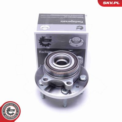 SET RULMENT ROATA ESEN SKV 29SKV373