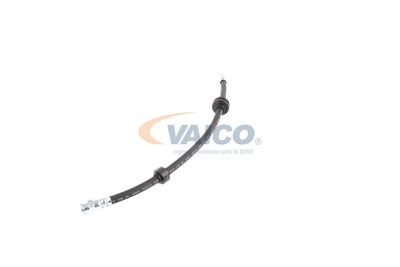 FURTUN FRANA VAICO V240328 17