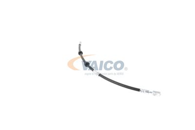 FURTUN FRANA VAICO V104226 34