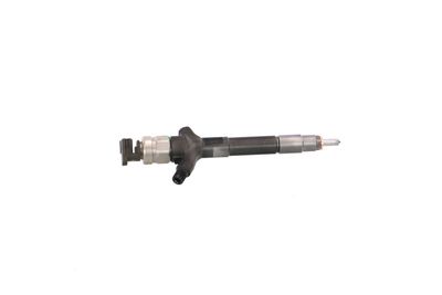 INJECTOR REMANTE 002003002030R 44