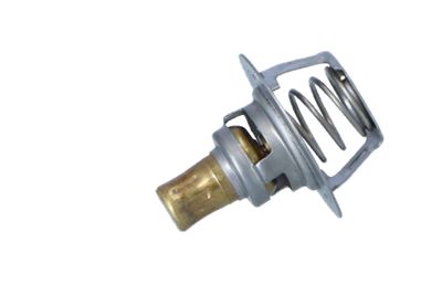 TERMOSTAT LICHID RACIRE NRF 725141 23