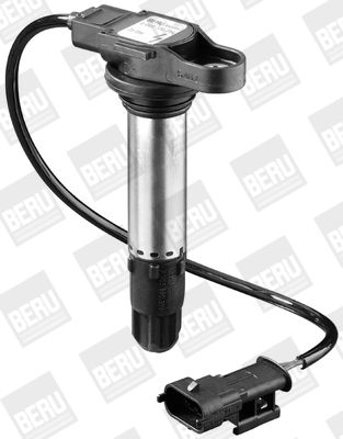 BorgWarner (BERU) Zündspule