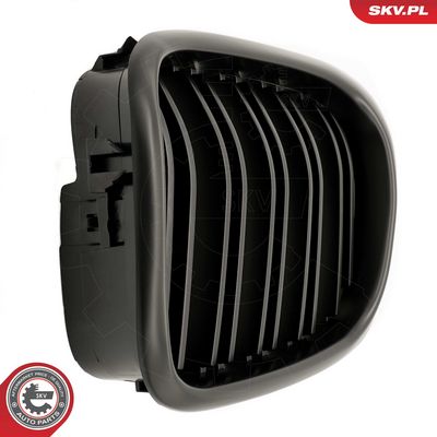 GRILA RADIATOR ESEN SKV 66SKV162 7