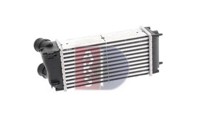 INTERCOOLER COMPRESOR AKS DASIS 167006N 6