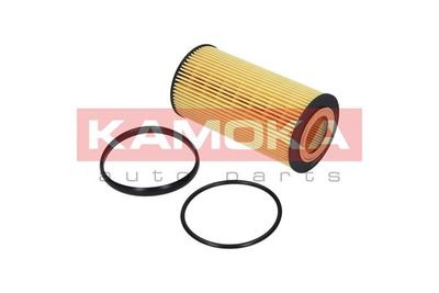 Oil Filter F115101