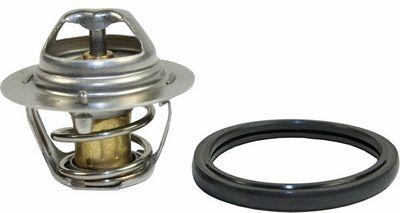 Thermostat, Kühlmittel