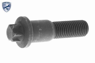 CHIT LANT DE DISTRIBUTIE VAICO V2010017BEK2 1