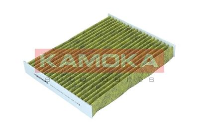 Filter, cabin air 6080147