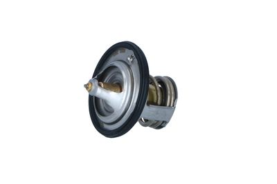 TERMOSTAT LICHID RACIRE NRF 725012 14