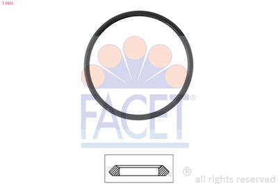 Uszczelka, termostat FACET 7.9655