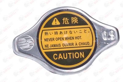 BUSON RADIATOR BIRTH 8069 1