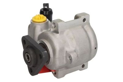 Pump, styrservo LAUBER 55.0212