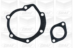 POMPă DE APă RăCIRE MOTOR GRAF PA516 1