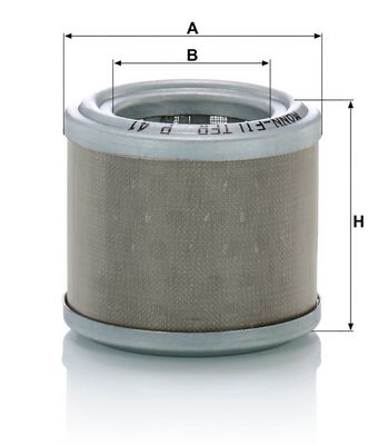 Brandstoffilter (patroon)