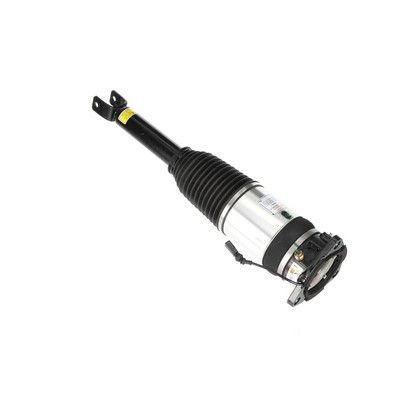 LUFTFEDERBEIN Arnott AS2969 67