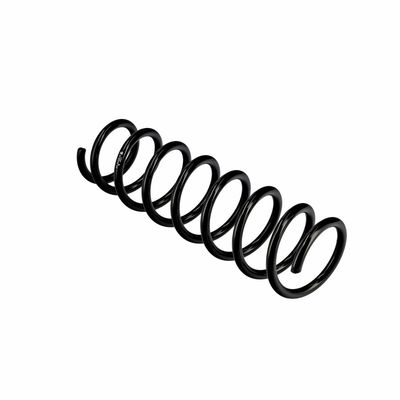 ARC SPIRAL EIBACH R10378 10