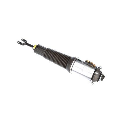 LUFTFEDERBEIN Arnott AS2561 66