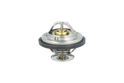 TERMOSTAT LICHID RACIRE NRF 725478 6