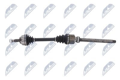 PLANETARA NTY NPWPE081 24