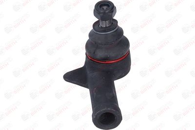 CAP DE BARA BIRTH RS0656 4