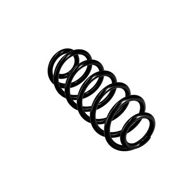 ARC SPIRAL EIBACH R10141 11