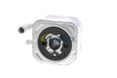 ÖLKüHLER MOTORöL VEMO V15606014 14