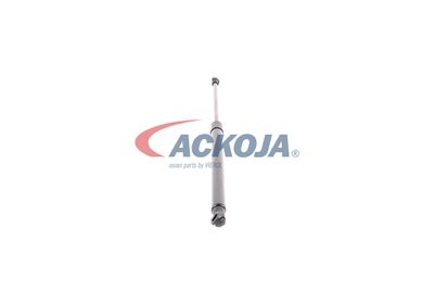 AMORTIZOR PORTBAGAJ ACKOJA A380339 49