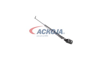 FILTRU AER ACKOJA A320034 43