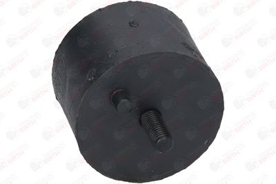 SUPORT MOTOR BIRTH 5183 10
