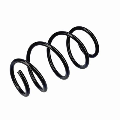 ARC SPIRAL EIBACH R20796 16