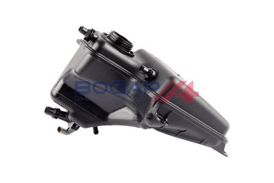 VAS DE EXPANSIUNE RACIRE BOGAP B4240114 1