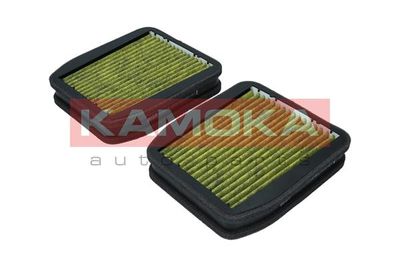 Filter, cabin air 6080045