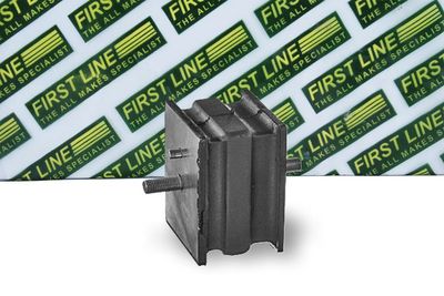 окачване, двигател FIRST LINE FEM4061