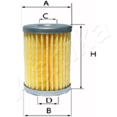 ASHIKA Kraftstofffilter